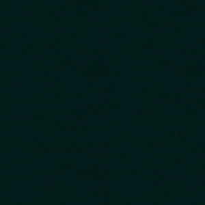 8244_暗夜绿