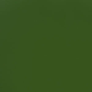 CR8796_水藻綠
