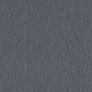 CR8819_黑珍珠