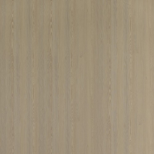 1395_塔西爾杉木(山)