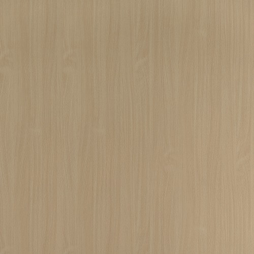 2726_白山毛櫸(直)