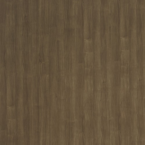 5485_丁香楓木(山)