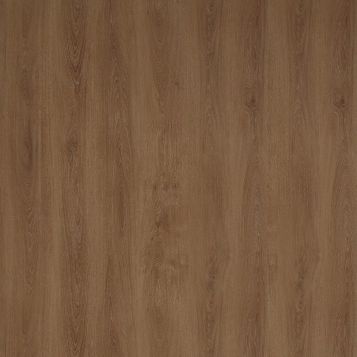 6053_夏慕尼橡木(山)