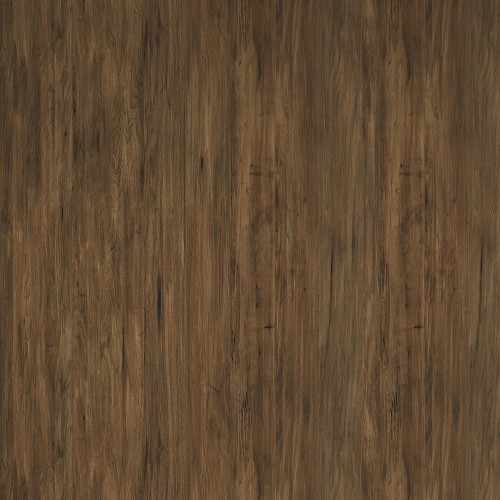 6055_老胡桃木(山)