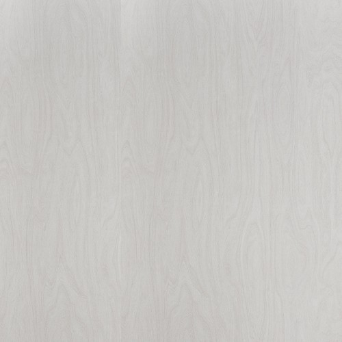 6372_洗白樺木(山)