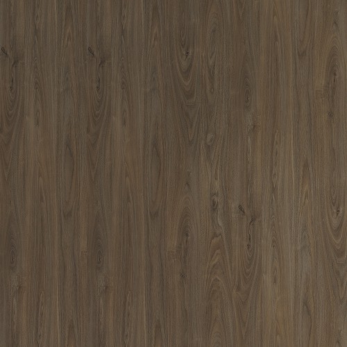 6401_天然胡桃木(山)