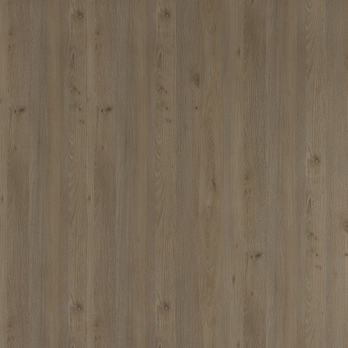 6439_沙點梣木(山)