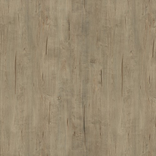 6441_水滌楓木(山)