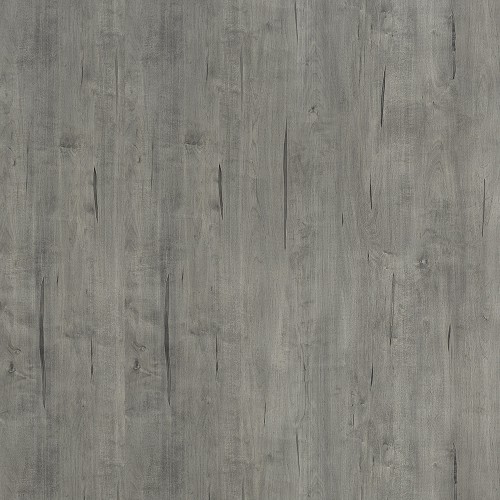 6442_灰洗楓木(山)