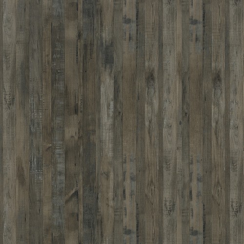 6477_四季榆木(山)