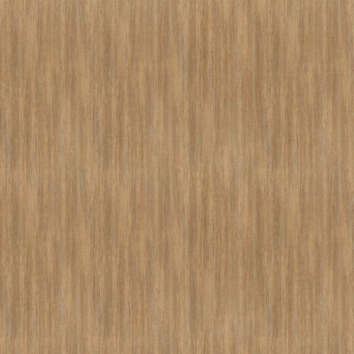 8913_黃橡條木(直)