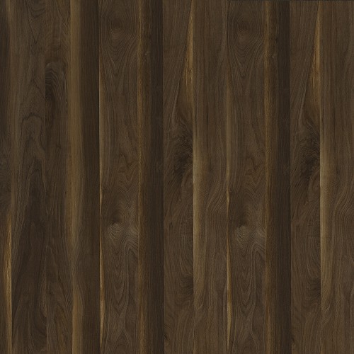 9479_原野胡桃木(山)