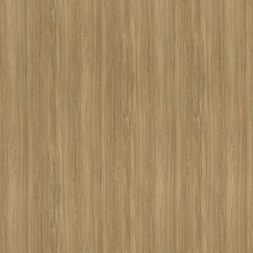 CR6407_蜜糖榆木(山)