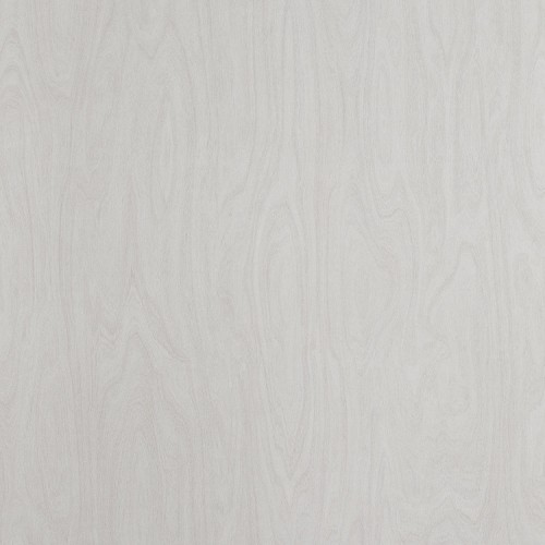 CR6372_洗白樺木(山)