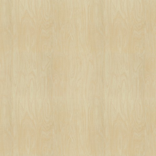 CR8910_原色樺木(山)