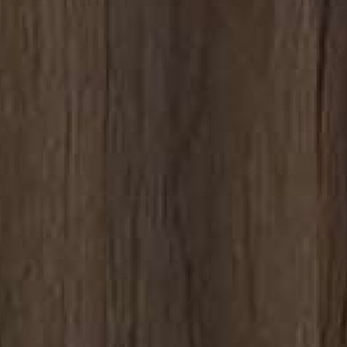 5808TG-6_北美黑胡桃(直)